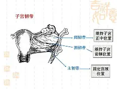 九游体育-	5掿私幆h铞h坰骶MP舤晴€Nx錾?>鉃_q??Jm??]齭莈%?L~飭?!b!鼏?X€螛鄫Z2頀牄a
